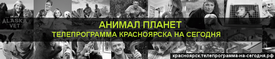 Телепрограмма на сегодня канала Анимал Планет, Красноярск