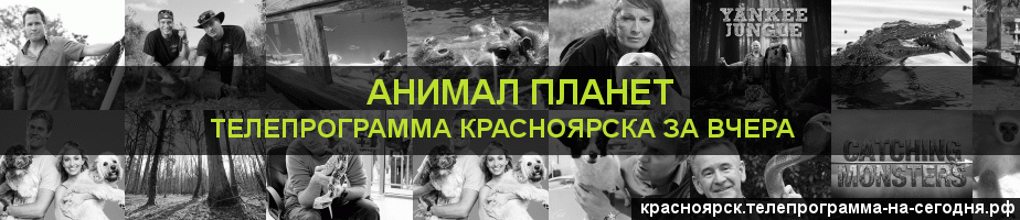 Телепрограмма за вчера канала Анимал Планет, Красноярск