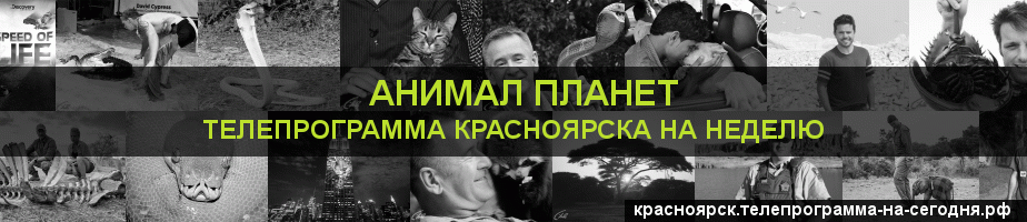 Телепрограмма на неделю канала Анимал Планет, Красноярск